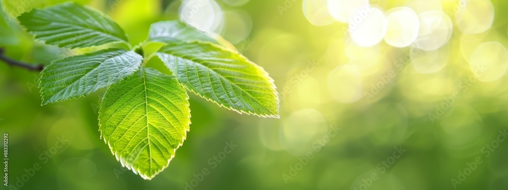 A tight shot of a green leaf on a tree branch, sunlight filtering through its surface, backdrop subtly blurred A tight shot of a green leaf on a tree branch, sunlight filtering through its surface, backdrop subtly blurred