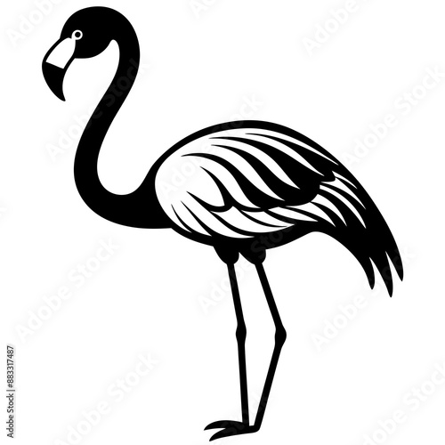 flamingo vector silhouette, Vector black flamingo silhouette, Black silhouette of tropical bird flamingo