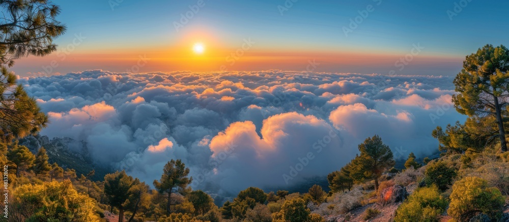 Fototapeta premium Sunset Above the Clouds