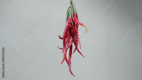 Curly red chilies hanging and rotating slowly on a white background. Spices that add spicy flavor. Studio quality footage shot at close range