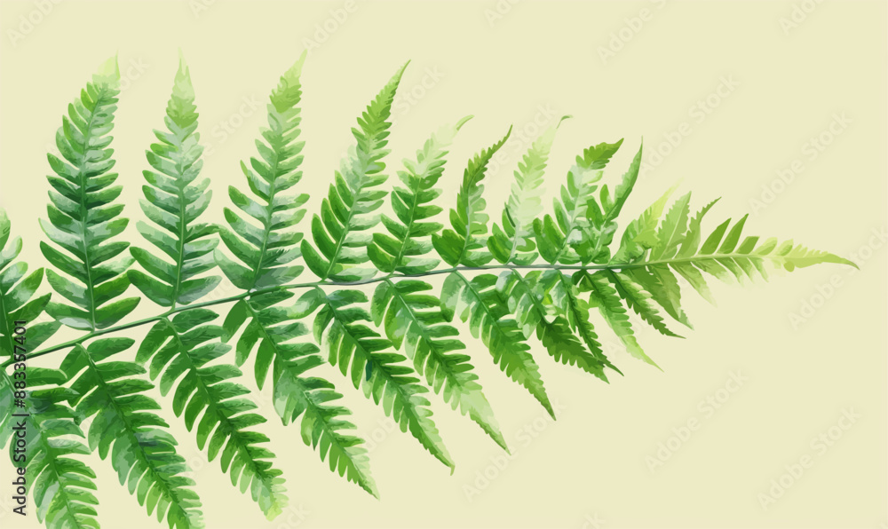 A linear vector of a fern. A linear vector of a fern.