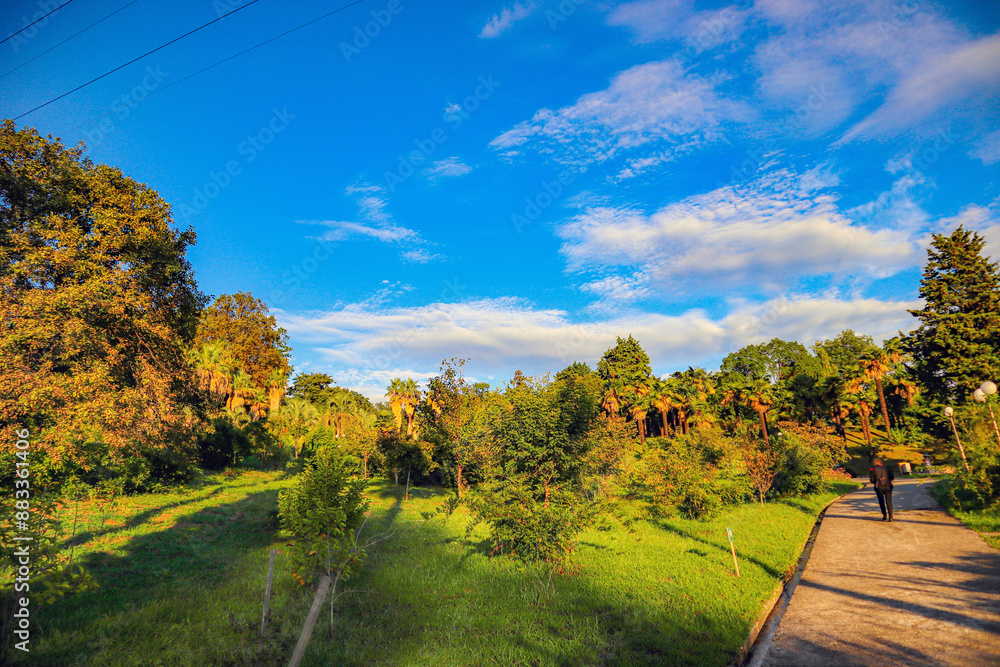 Naklejka premium autumn landscape with road