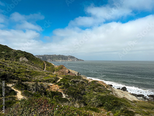 Wallpaper Mural California coast with views on the waters of the bay on the bright day. Bushes and flowers of the West Coast nature in front of the lightly cloud skies. Waves of the Pacific Ocean waters of the bay. Torontodigital.ca