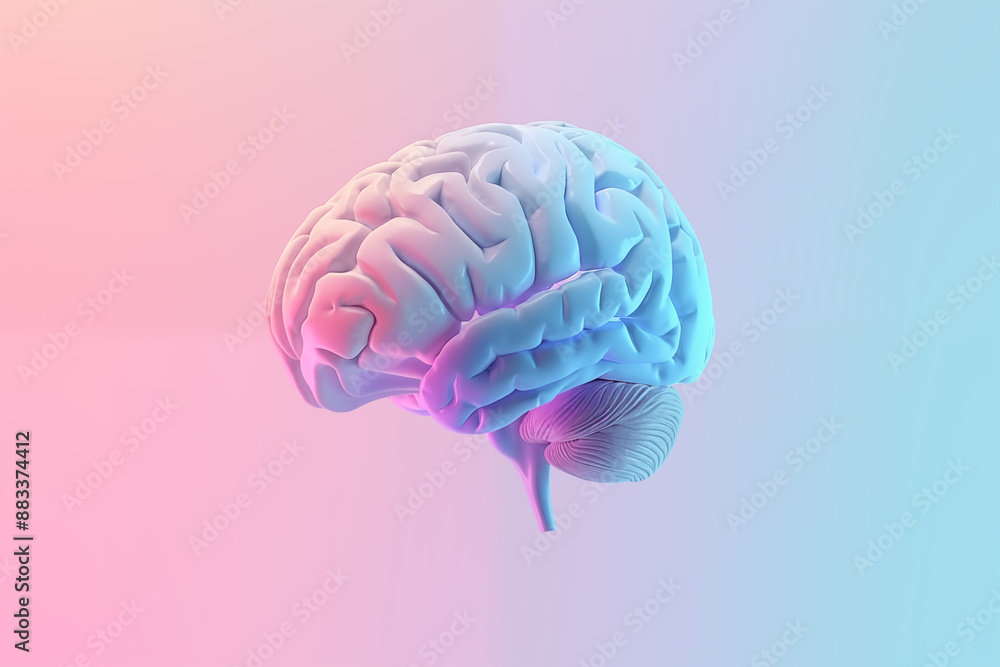 Model of a human brain against a background of blue and pink gradients. Brain illuminated from the front, showcasing its intricate folds and structure. Pastel colors Model of a human brain against a background of blue and pink gradients. Brain illuminated from the front, showcasing its intricate folds and structure. Pastel colors