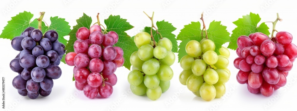 A row of grapes is arranged with greenery above and below - leaves atop and beneath A row of grapes is arranged with greenery above and below - leaves atop and beneath