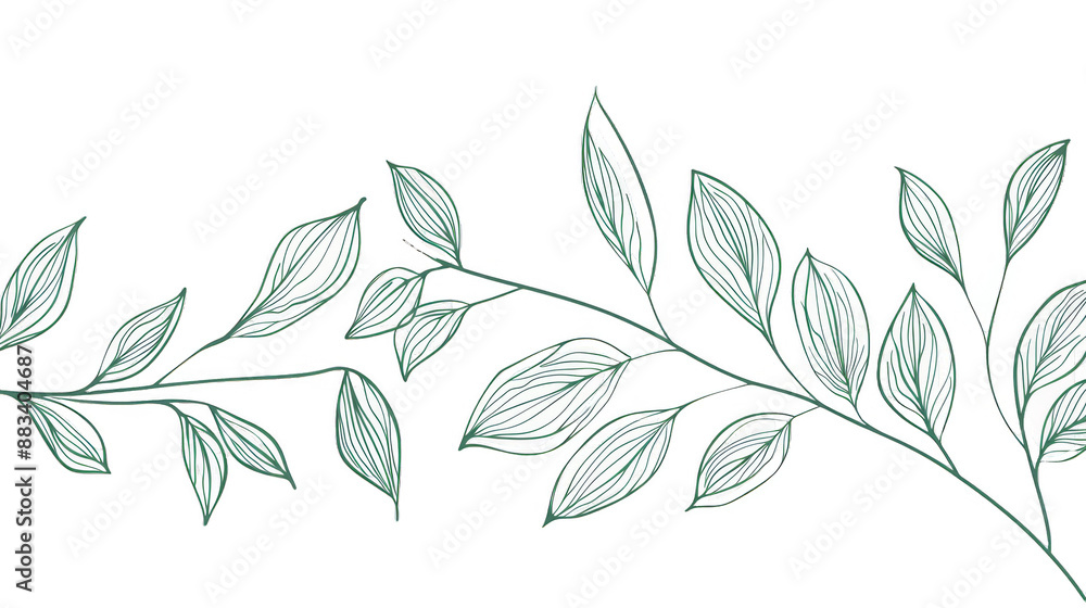 Green branches with leaves Hand drawn white background Green branches with leaves Hand drawn white background