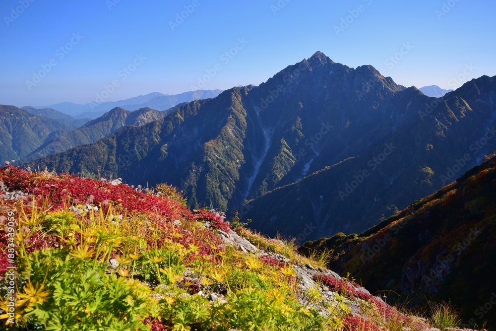 紅葉の大日連峰から望む剱岳 紅葉の大日連峰から望む剱岳
