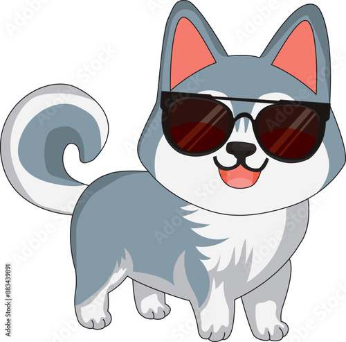 Cool siberian husky dog with sunglasses