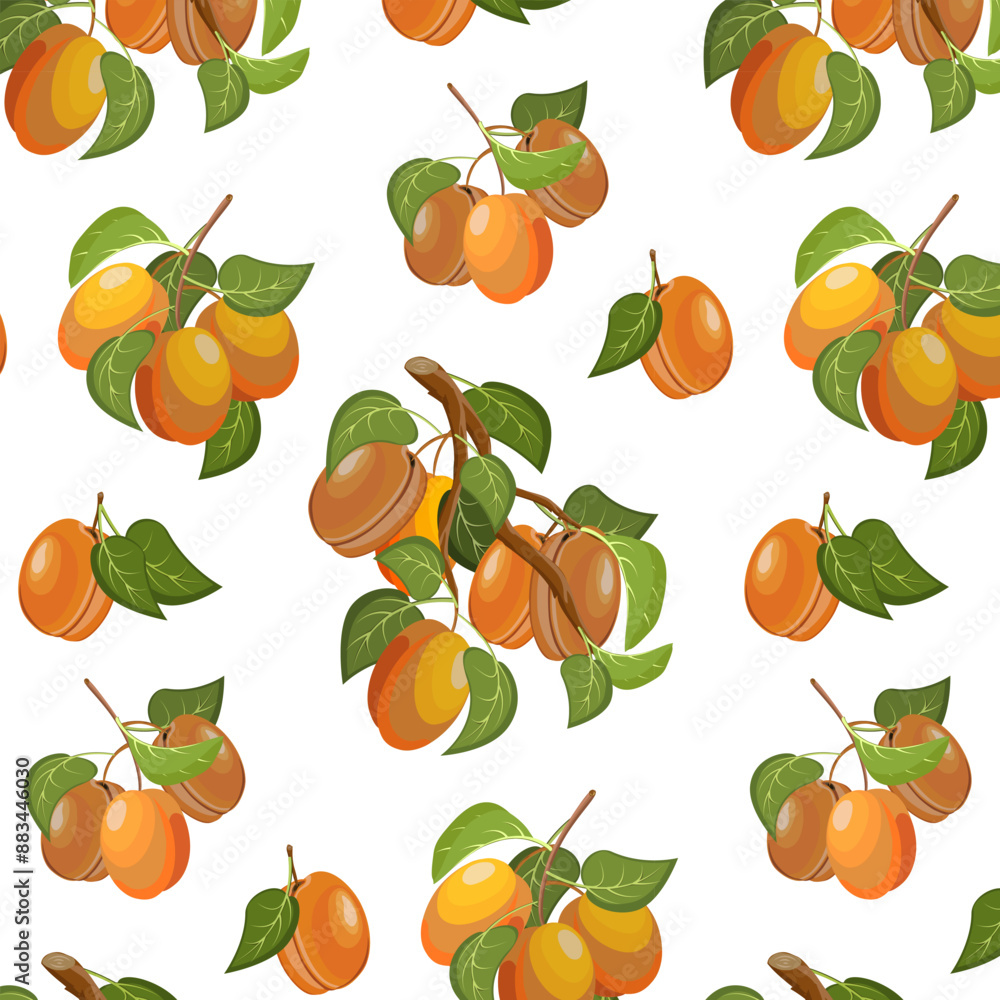 Vector pattern of branches with apricots.Branches with bright ripe apricots on a white background in a seamless pattern. Vector pattern of branches with apricots.Branches with bright ripe apricots on a white background in a seamless pattern.