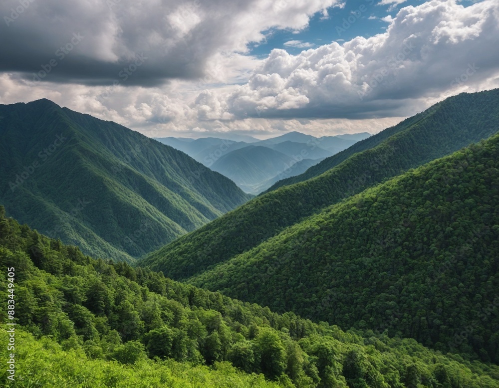 Fototapeta premium Amazing Wild Mountain Forest Landscape with Cloudy Sky
