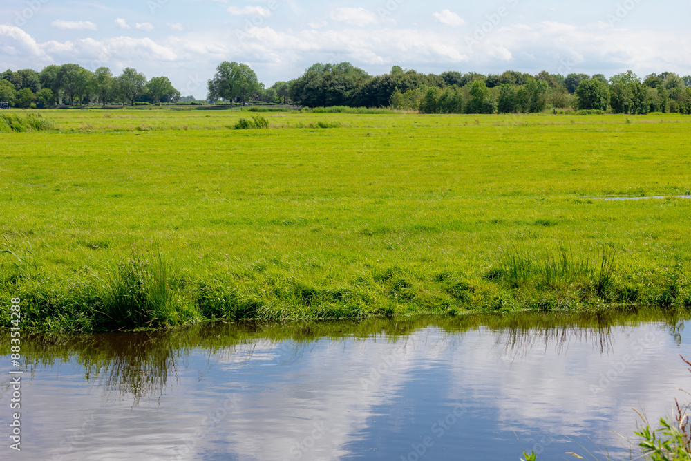 Fototapeta premium Summer landscape, Typical Dutch polder with flat and low land, Green meadow with wild flowers, Small canal or ditch and grass field, Ouderkerk aan de Amstel, Amsterdam, Countryside of the Netherlands.