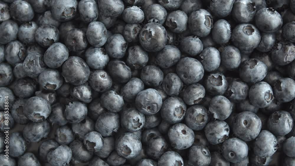 Blueberries rotating, top view of ripe blueberries. Close up on many fresh blueberries filling the screen. Blueberries rotating, top view of ripe blueberries. Close up on many fresh blueberries filling the screen.