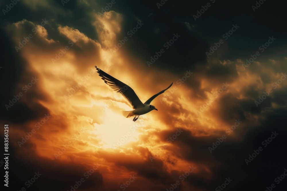 Obraz premium A bird soars through a cloudy sky with the sun shining brightly in the background
