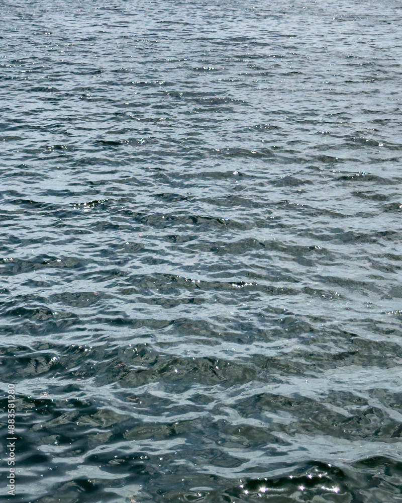 Fototapeta premium water surface with light reflections