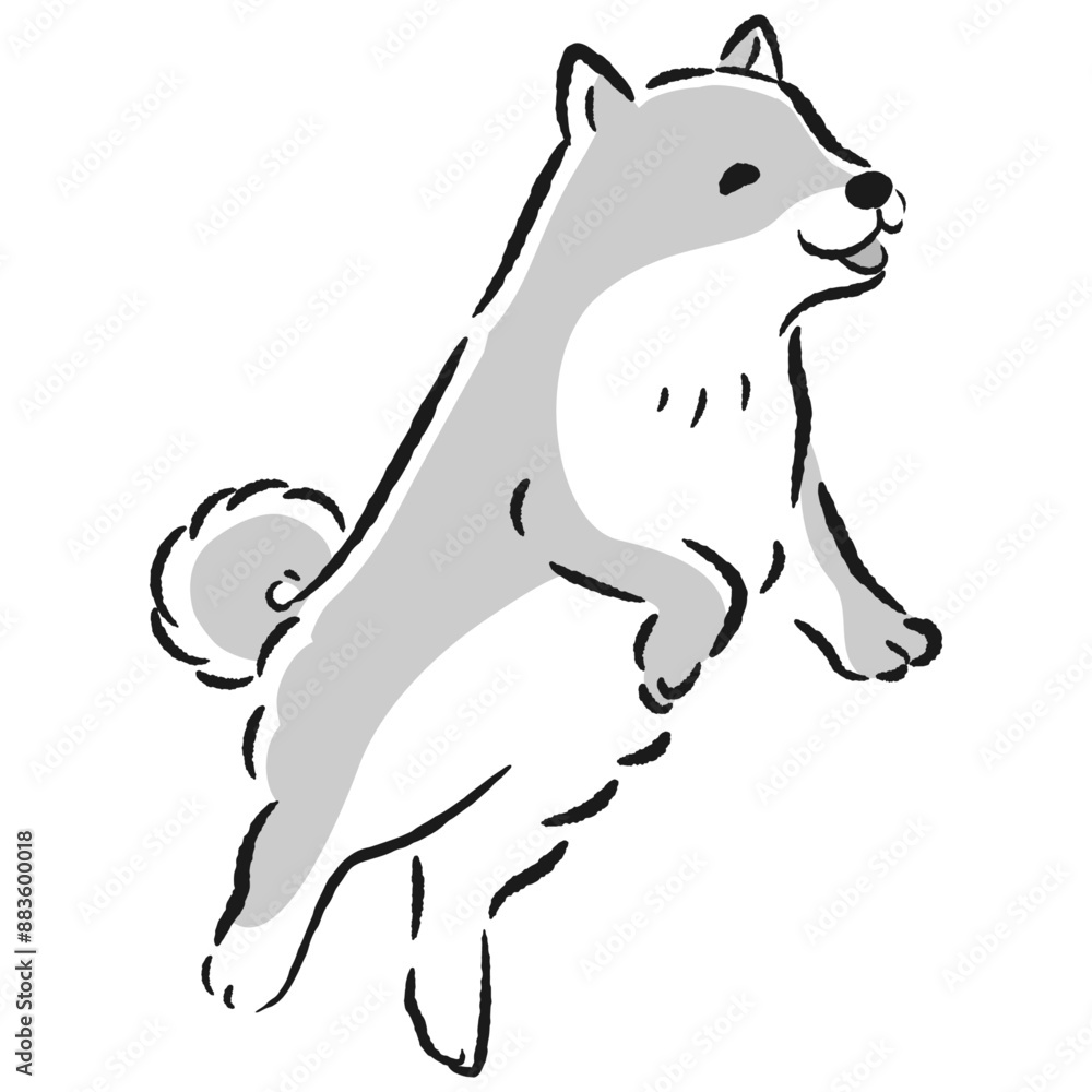 Fototapeta premium ジャンプする犬のイラスト