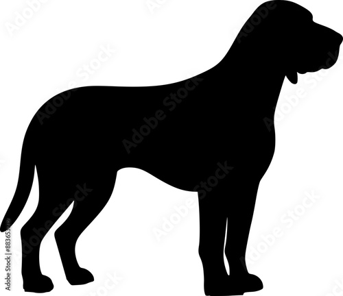 silhouette of a dog, Hound dog silhouette vector icon 