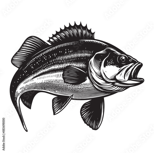 Big bass fish vector Jumping largemouth bass fish silhouette Bass fish vector illustration