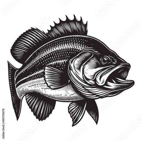 Big bass fish vector Jumping largemouth bass fish silhouette Bass fish vector illustration