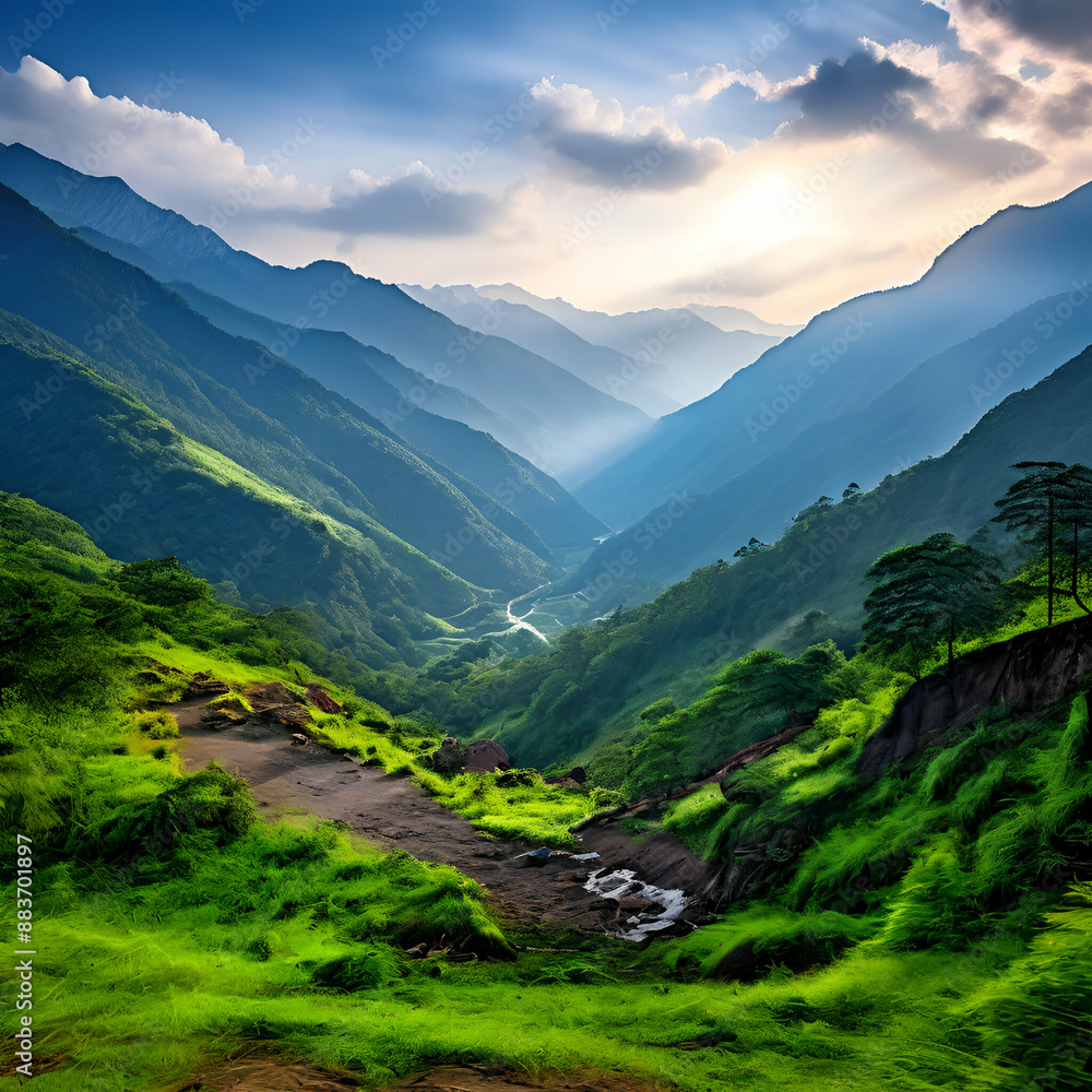 landscape in summer