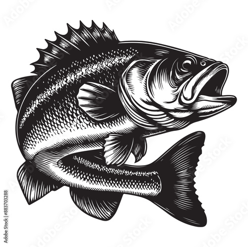 Big bass fish vector Jumping largemouth bass fish silhouette Bass fish vector illustration