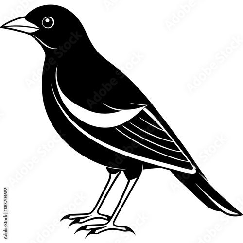 Minimalist Myna icon silhouette vector illustration
