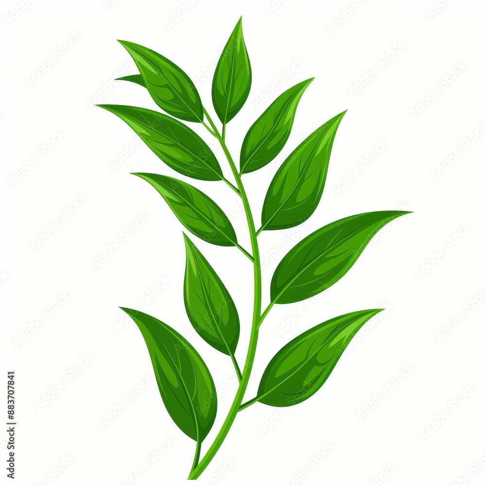 Fototapeta premium A leafy green plant with a long stem