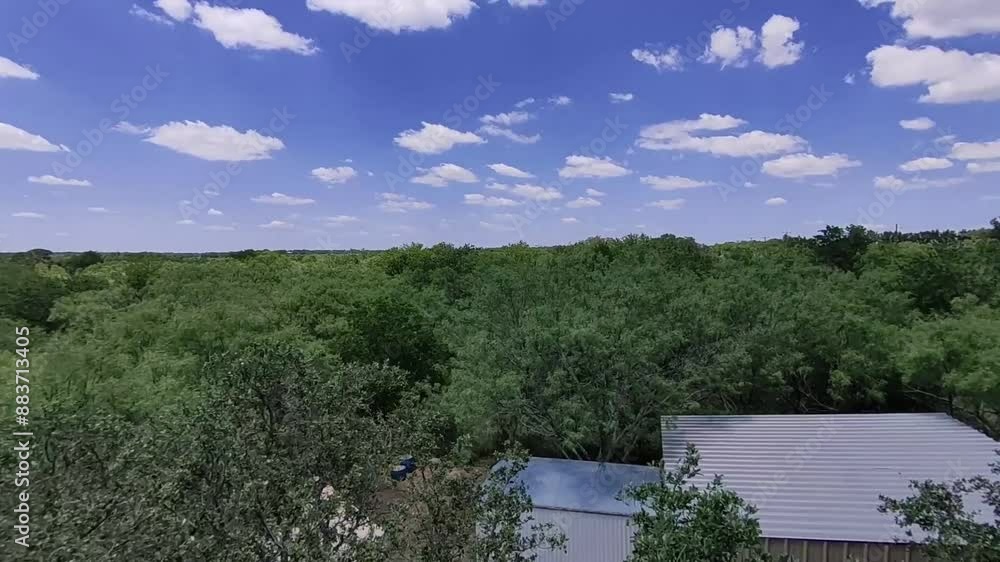 Treetop view slow motion orbiting to the right in daytime Treetop view slow motion orbiting to the right in daytime