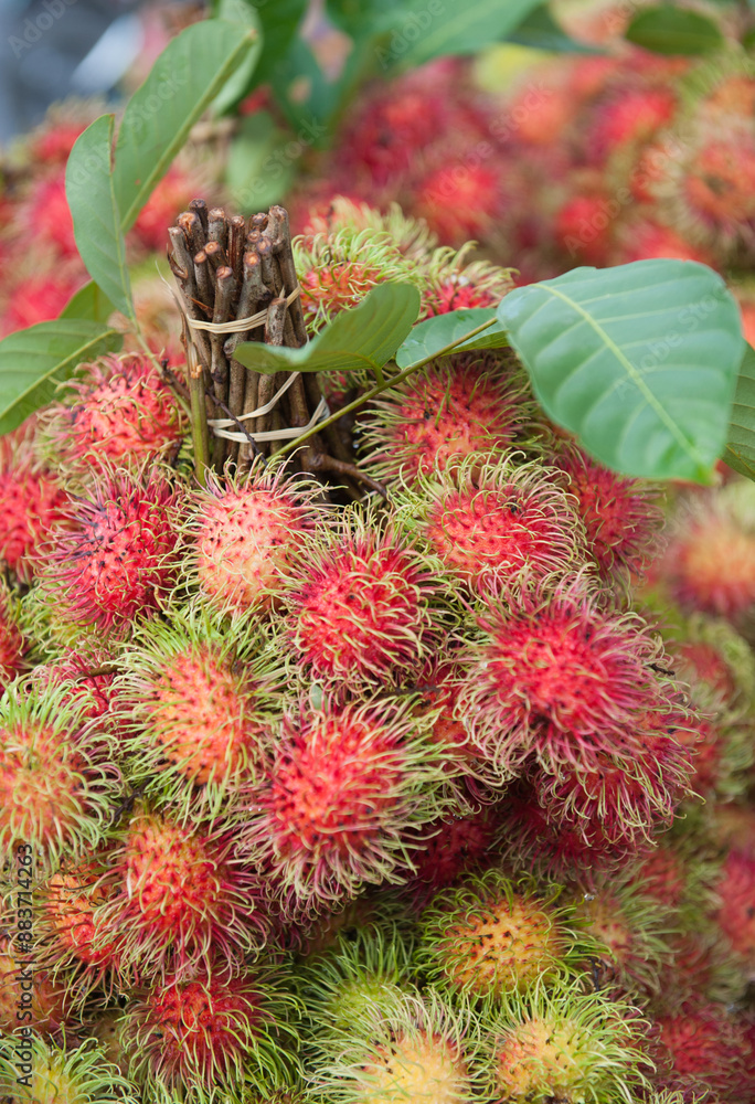 Rambutan healthy fruit with sweet taste Rambutan healthy fruit with sweet taste
