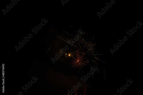 Wallpaper Mural Fourth of July Firework Display Torontodigital.ca