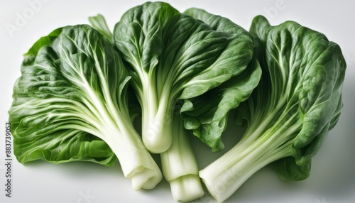 Bok choy vegetable on white background