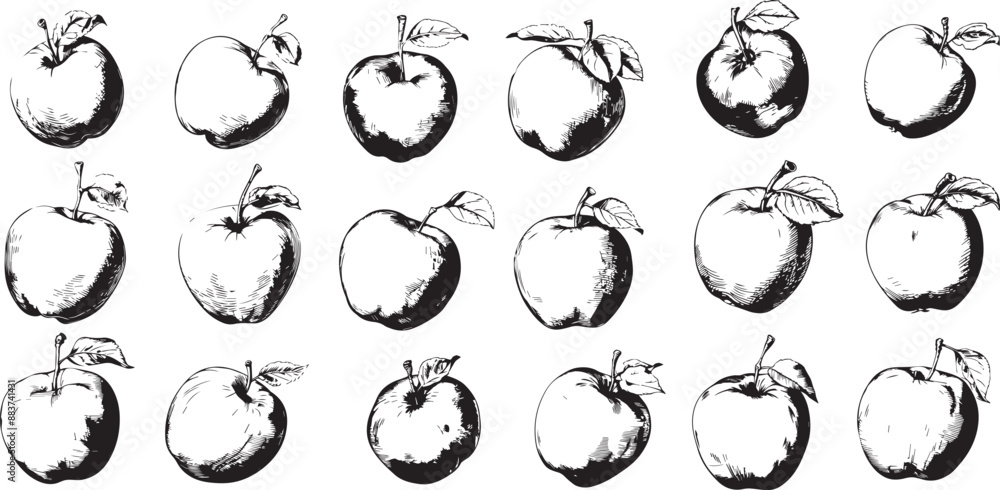 apple silhouettes apple silhouettes
