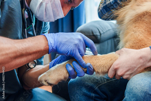 A veterinarian is examining a dog at his master's house.