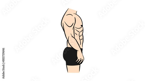 Weight loss Comparison. 2d animation of man body transformation. Before and after a thick and thin waist, Fat belly before and slim fit perfect abs after fast weight loss process. sports training. 