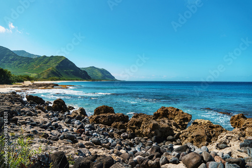 Slika na platnu Rocky beach with mountains and ocean in background