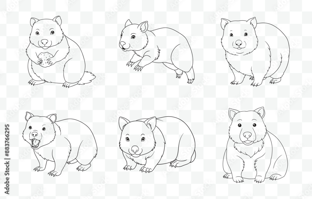 Obraz premium Print Elegant Wombat Art Vector Collection Featuring Detailed Illustrations of Wombats in Various Poses and Styles