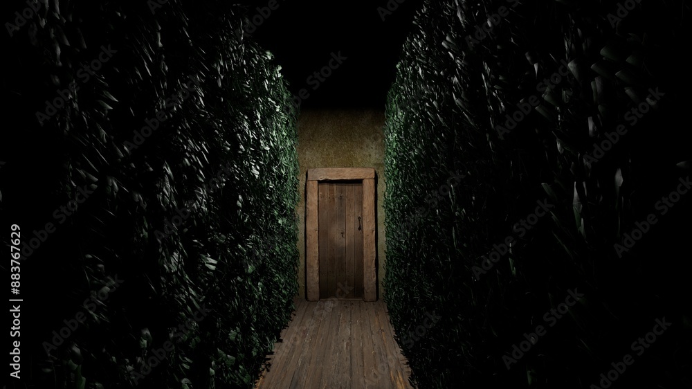 the backyard of the house is dark and scary the backyard of the house is dark and scary