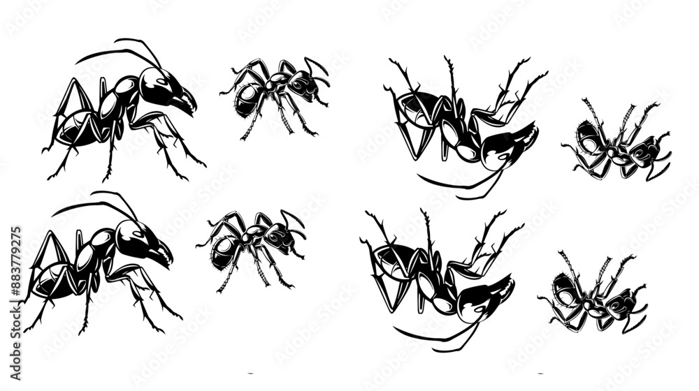 Sketch of a ant. Vector illustration on transparent background,Insect Insects ant ants emmet pismire banne.r Vector,silhouettes of ants in different poses
Sketch of a ant. Vector illustration on transparent background,Insect Insects ant ants emmet pismire banne.r Vector,silhouettes of ants in different poses