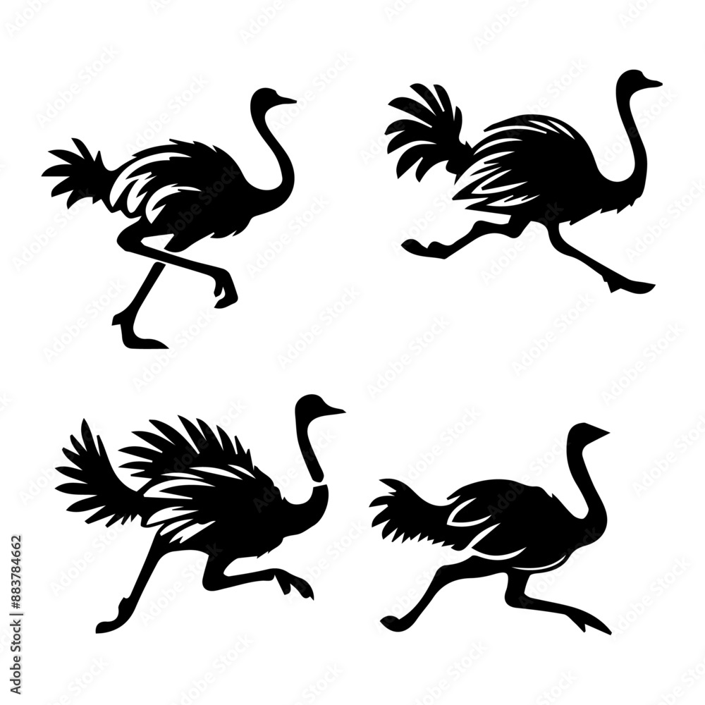 Ostrich Running silhouette isolated on white background Ostrich Running silhouette isolated on white background