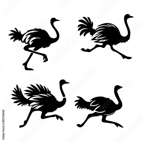 Ostrich  Running silhouette isolated on white background 