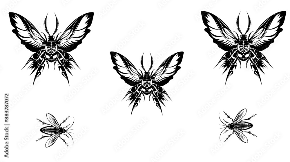 vector isolated set of insect silhouettes vector isolated set of insect silhouettes