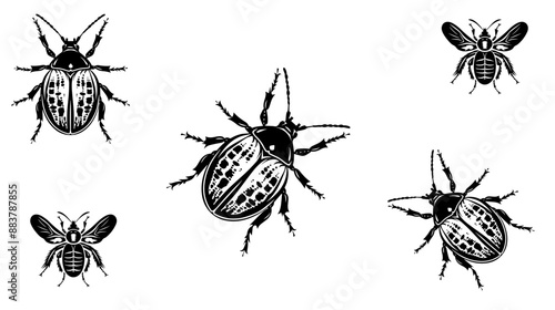 vector isolated set of insect silhouettes