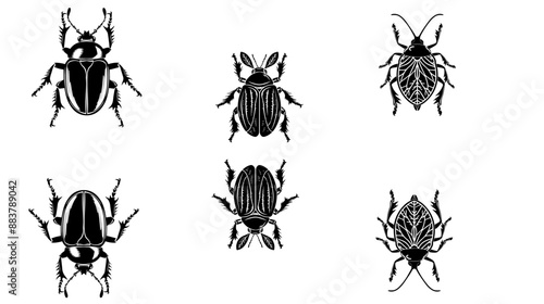 vector isolated set of insect silhouettes