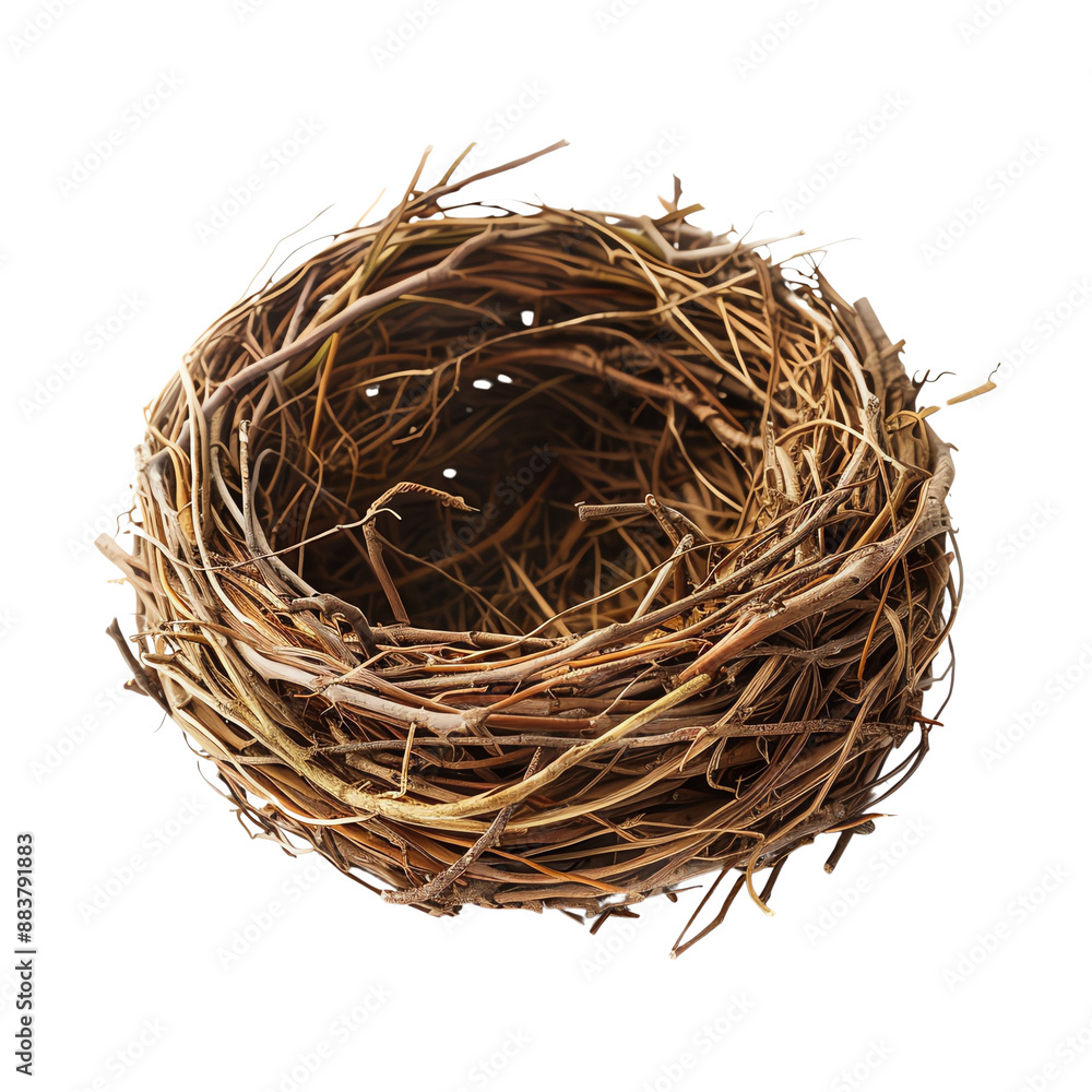 Obraz premium Close-up photo of an empty bird nest made of twigs and dried grass against a white background, symbolizing nature and wildlife.