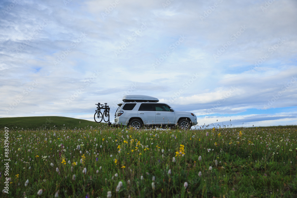 Fototapeta premium Offroad car on flowering grassland mountain under blue sky
