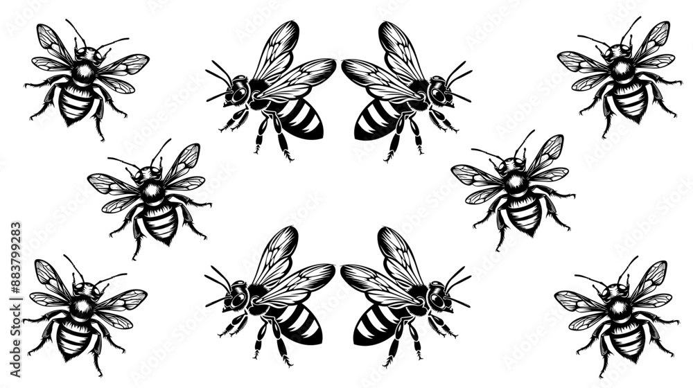vector isolated set of insect silhouettes,Hand drawn vector illustration. Vector drawing of tree honeybee vector isolated set of insect silhouettes,Hand drawn vector illustration. Vector drawing of tree honeybee