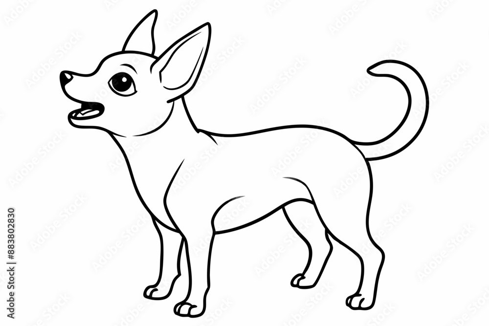 Chihuahua Dog breed line art vector Isolated on white background Chihuahua Dog breed line art vector Isolated on white background