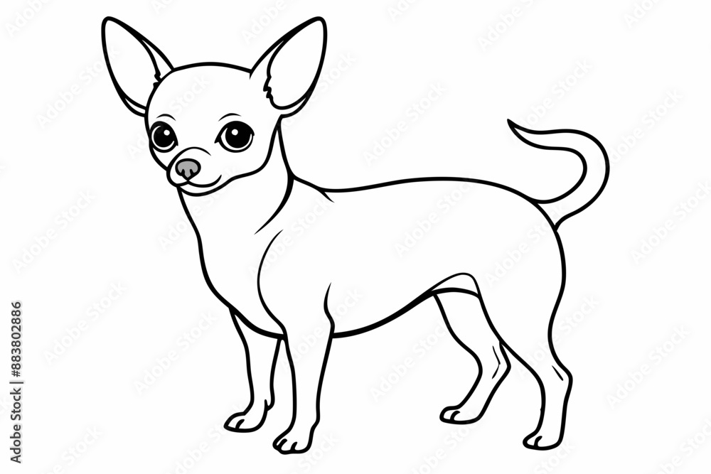 Chihuahua Dog breed line art vector Isolated on white background Chihuahua Dog breed line art vector Isolated on white background