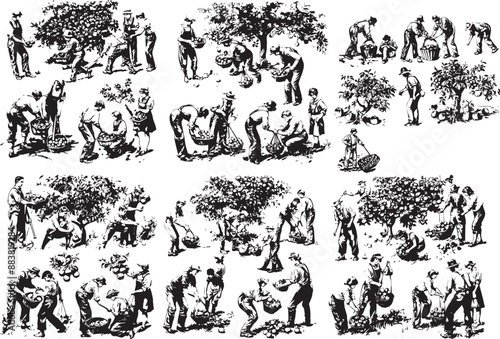 picking apple silhouettes