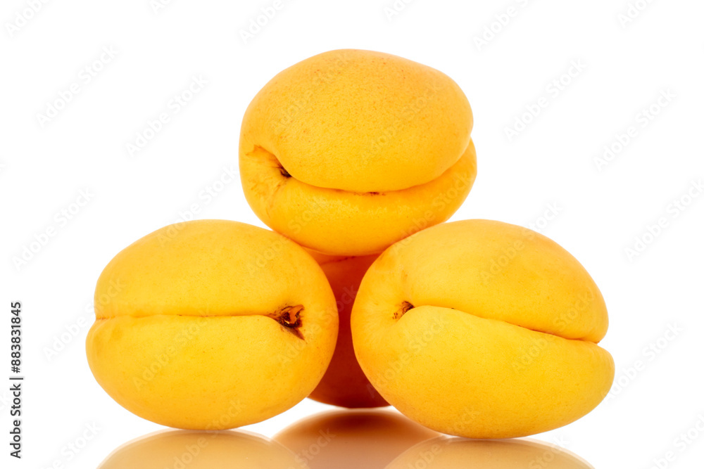 Three ripe apricots, macro, isolated on white background.
Pineapple apricots Three ripe apricots, macro, isolated on white background.
Pineapple apricots