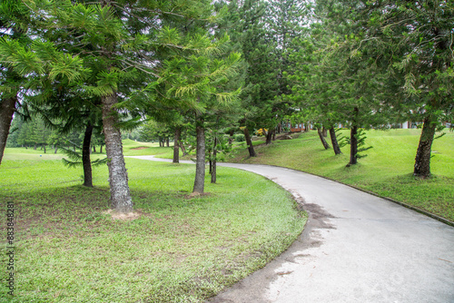 Walkway on the golf course There are big shady trees.